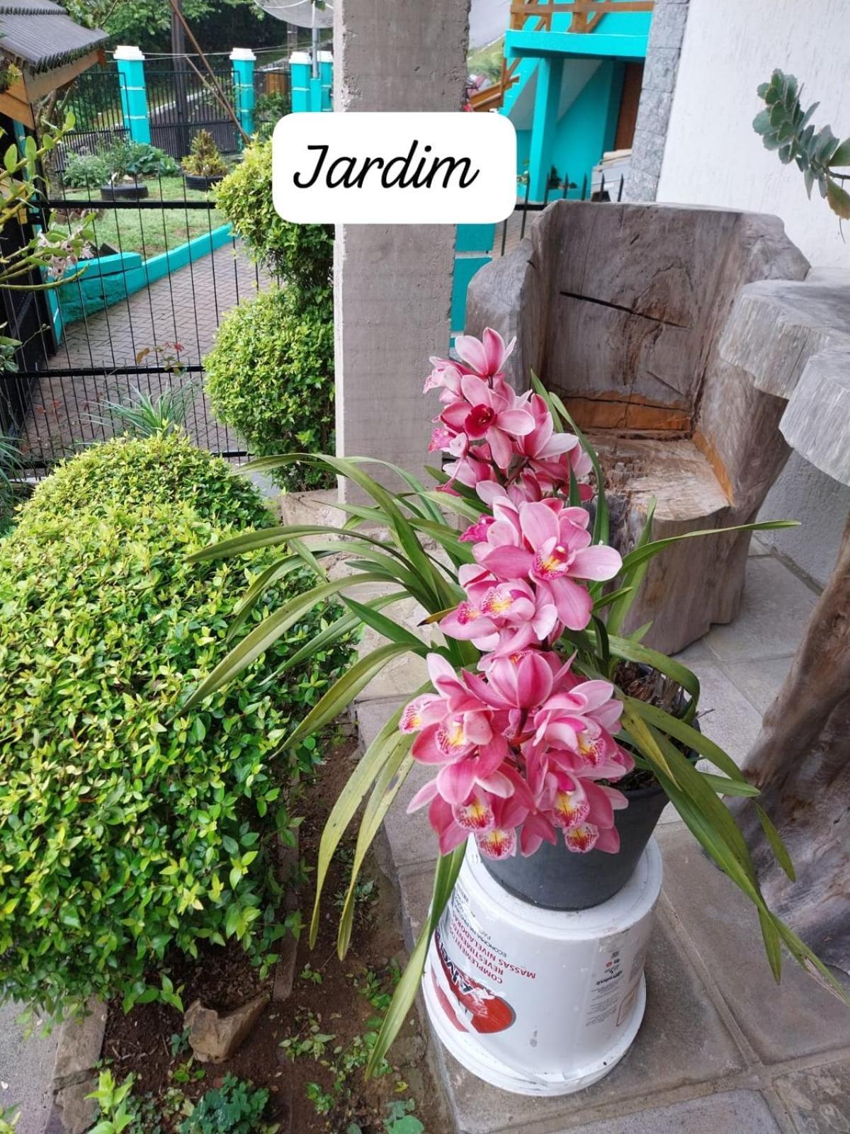 Apartment Do Dede Gramado